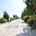 Avşa Adası Yiğitler Köyü Rehberi 2025
