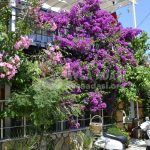Avşa Adası’nda Fotoğraf Çekim Rehberi | En İyi Noktalar