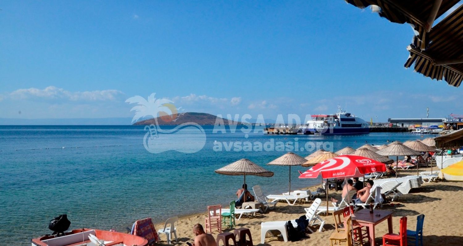 ????????????????????????????????????