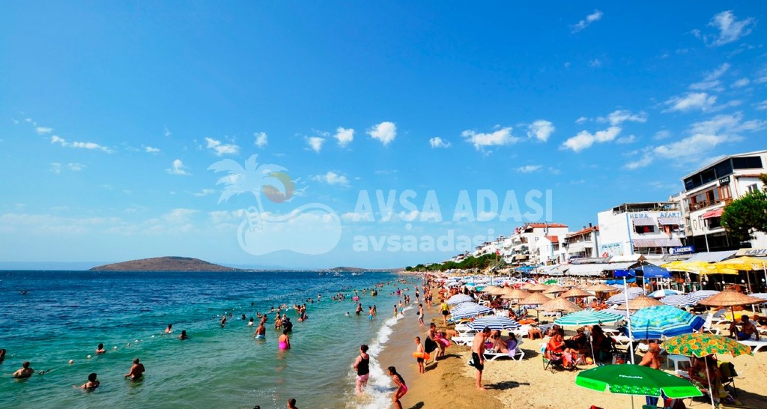 ????????????????????????????????????