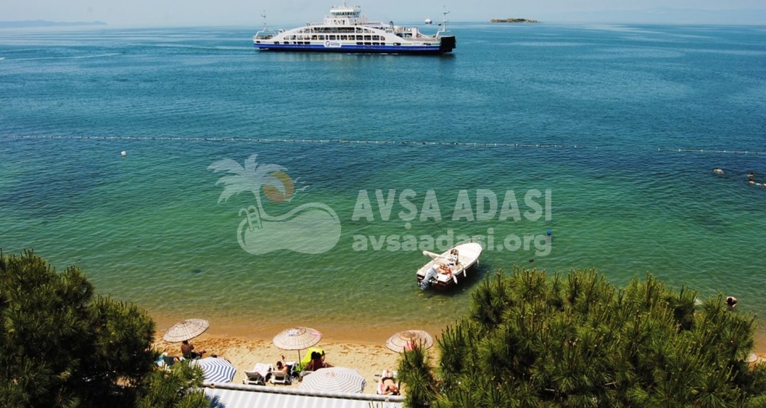 ????????????????????????????????????