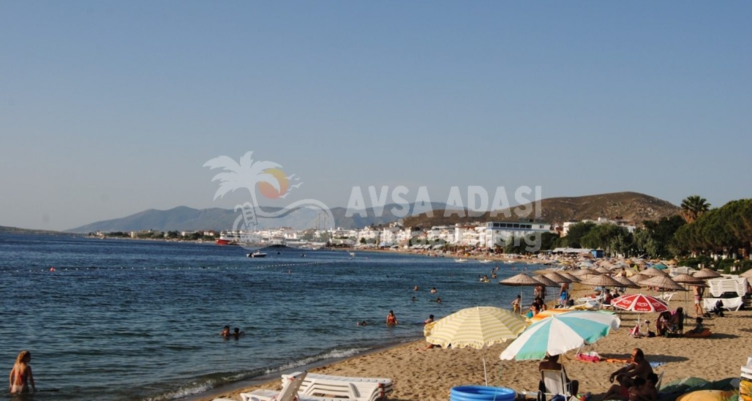 ????????????????????????????????????