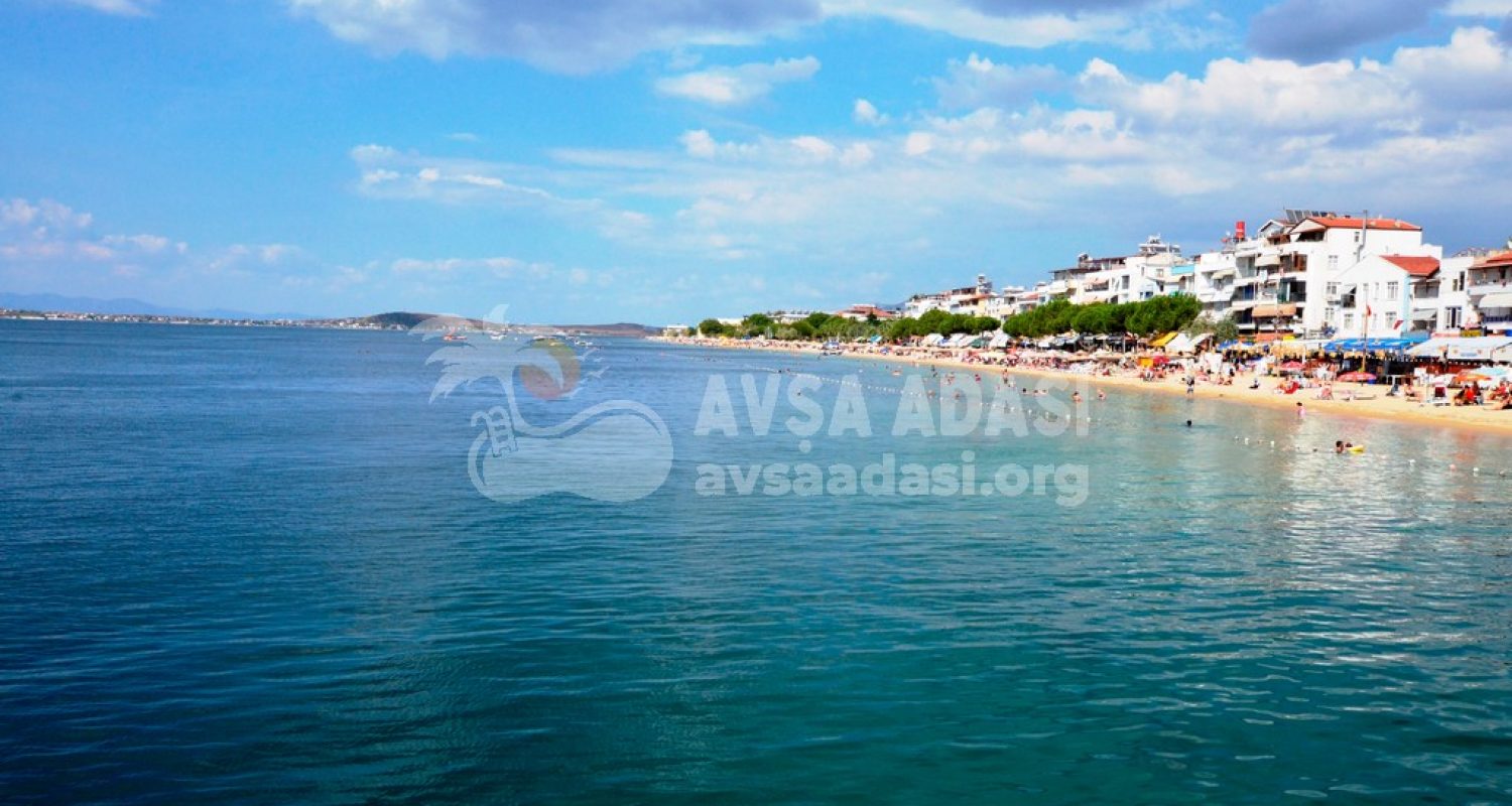 ????????????????????????????????????