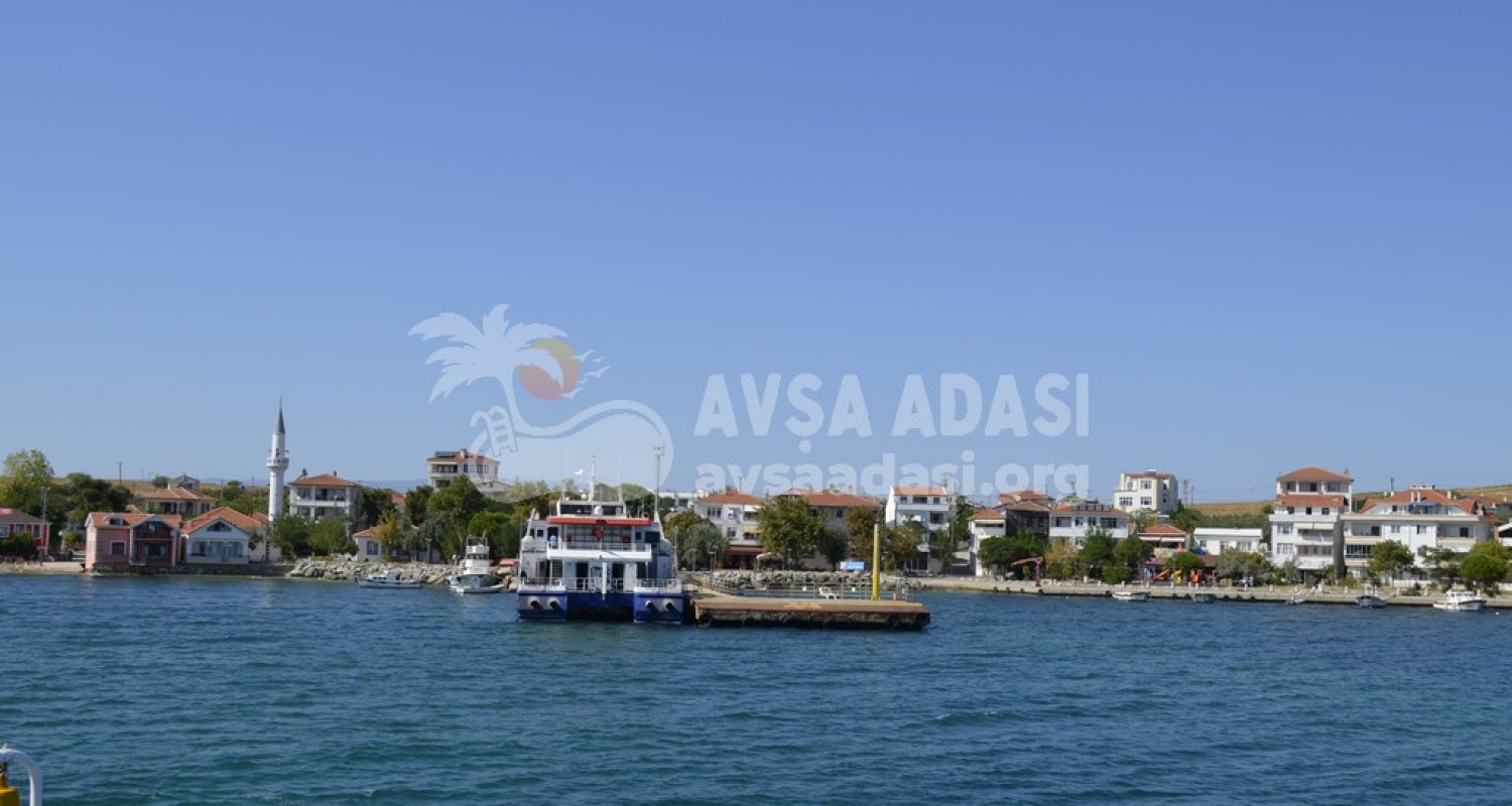avsa-adasi (97)